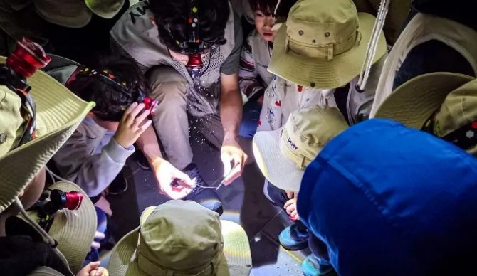 즐기는 방법 4 이미지 1