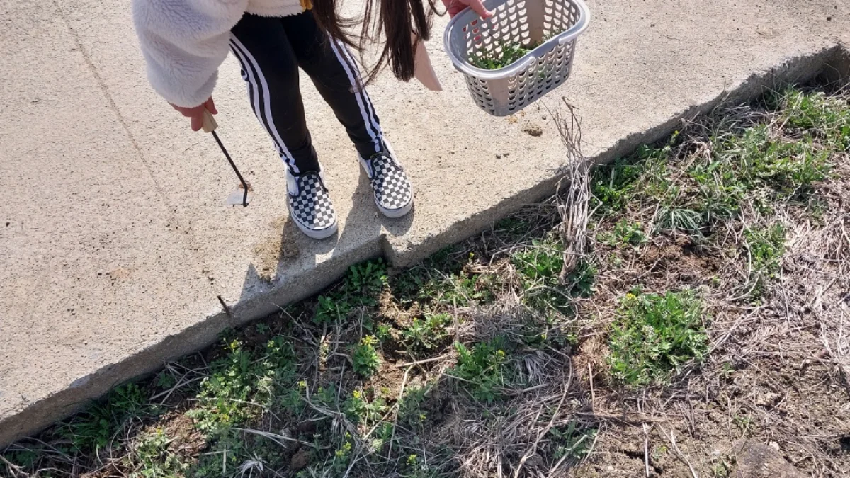 즐기는 방법 2 이미지 2