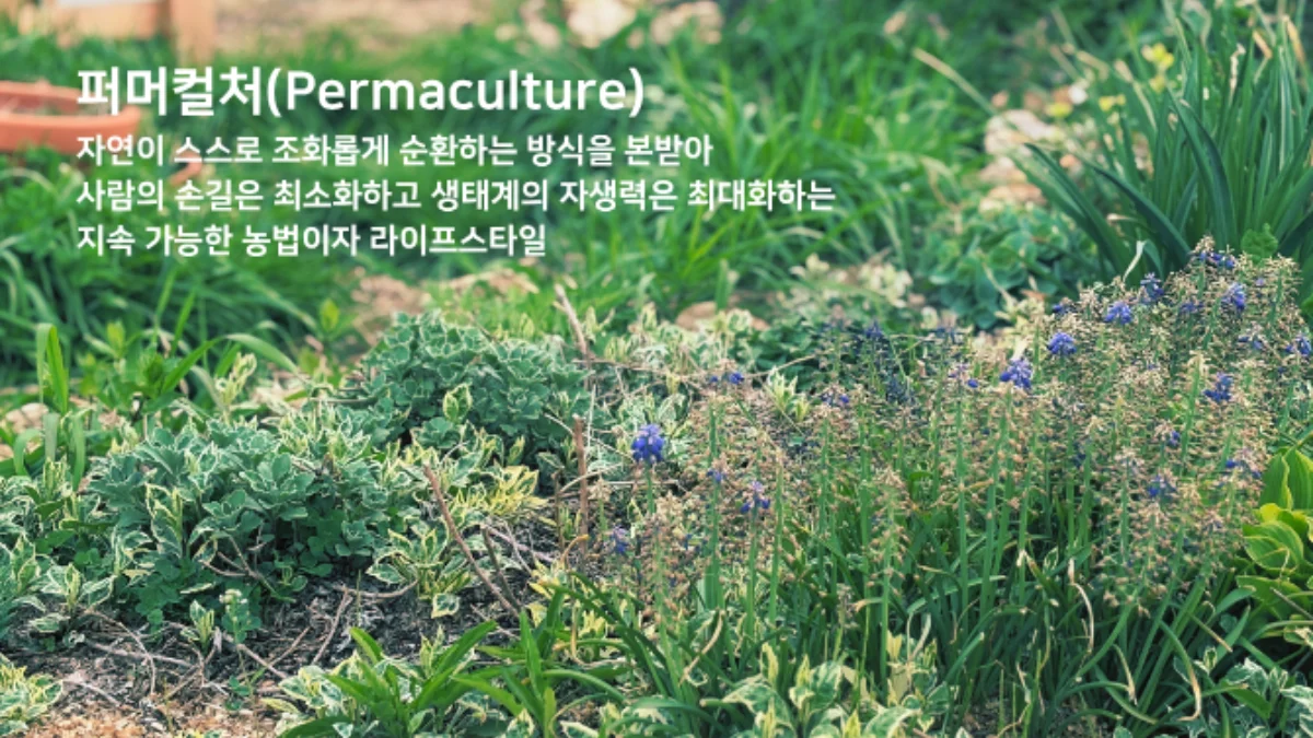 PICK 포인트 1 이미지 1