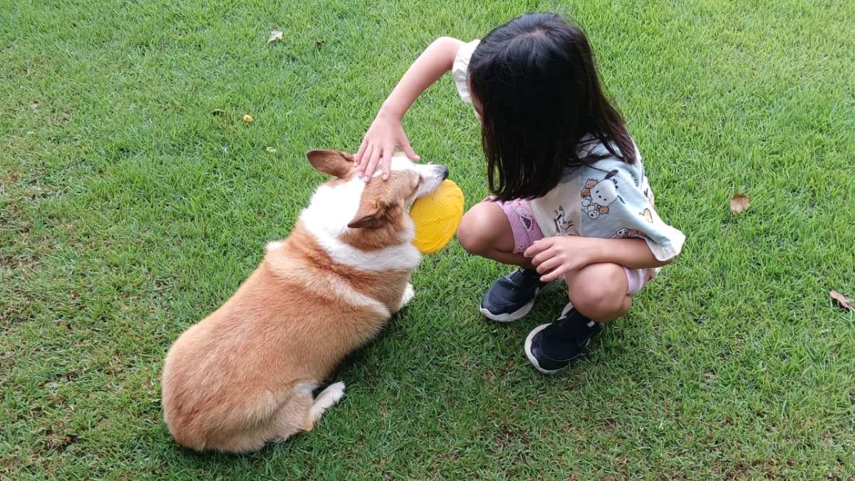 PICK 포인트 1 이미지 4