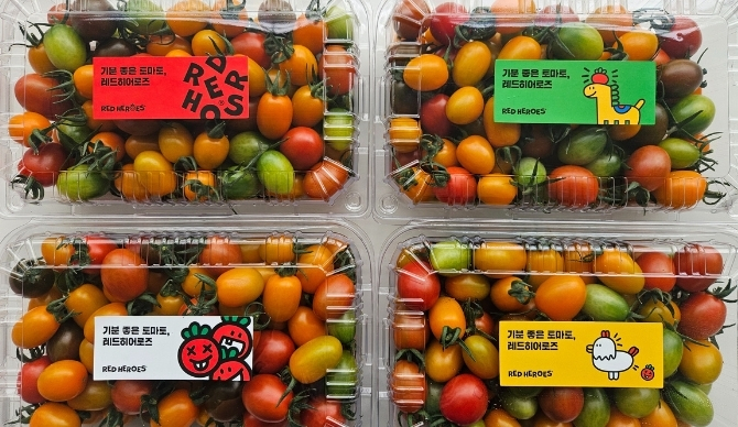 컬러방울토마토 1kg 추가 수확 13,000원