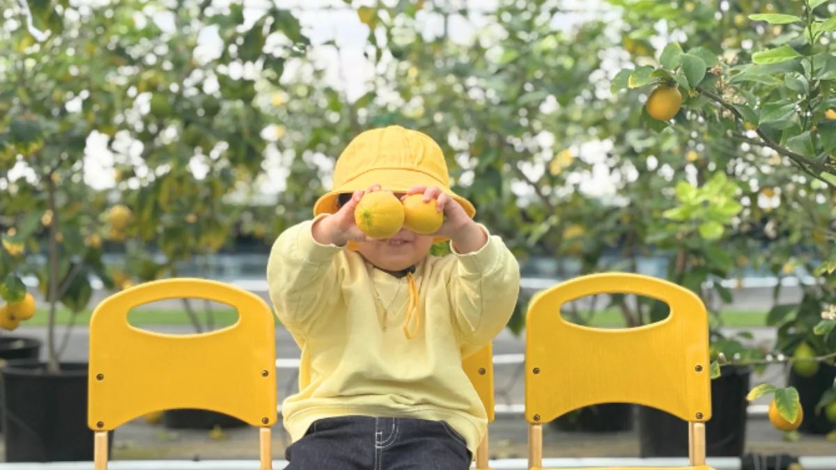 즐기는 방법 3 이미지 3