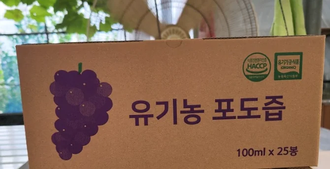 1인 입장권 : 5,000원