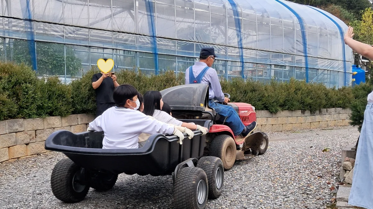 즐기는 방법 4 이미지 2