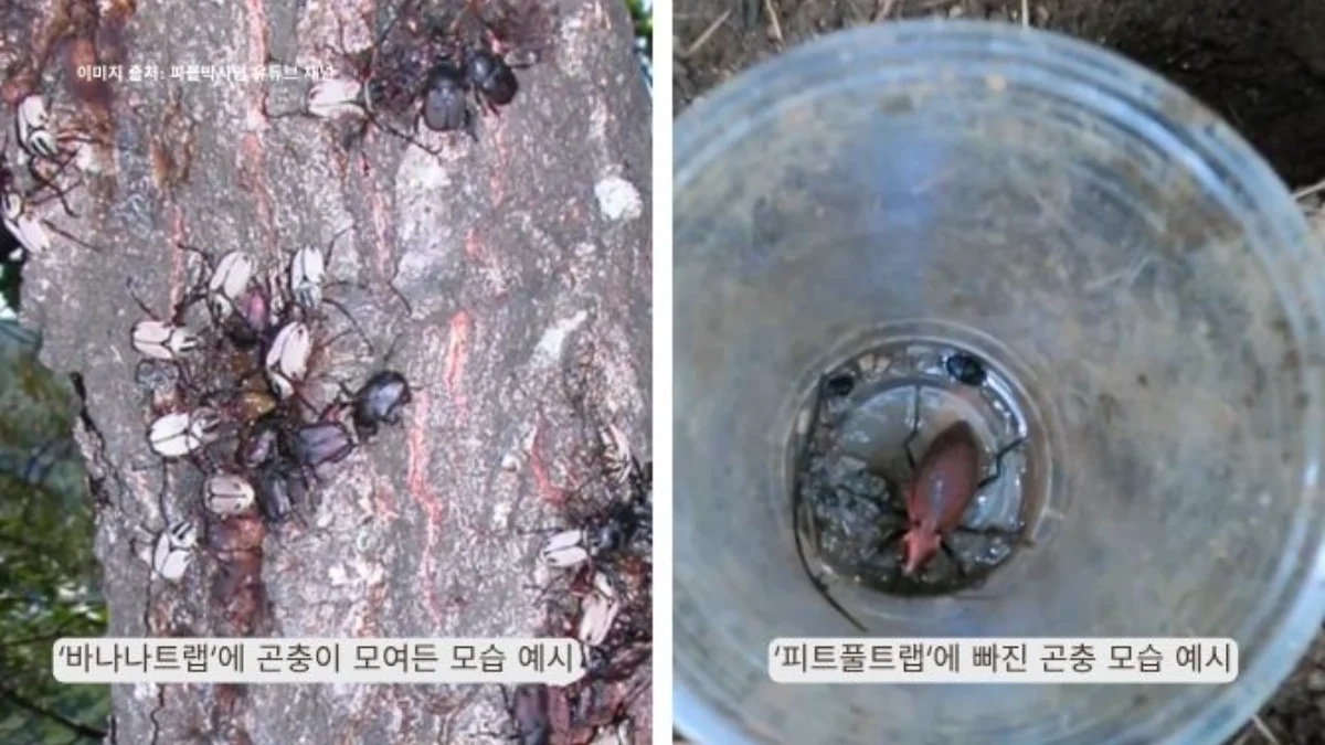 즐기는 방법 3 이미지 1